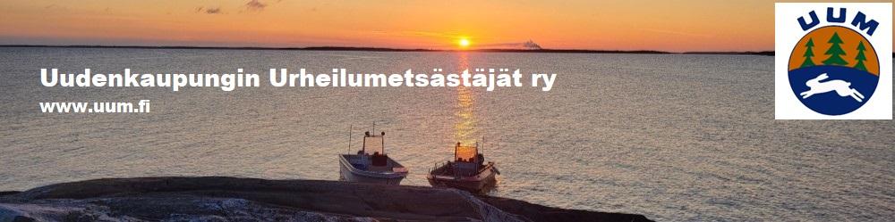 rhy.fi